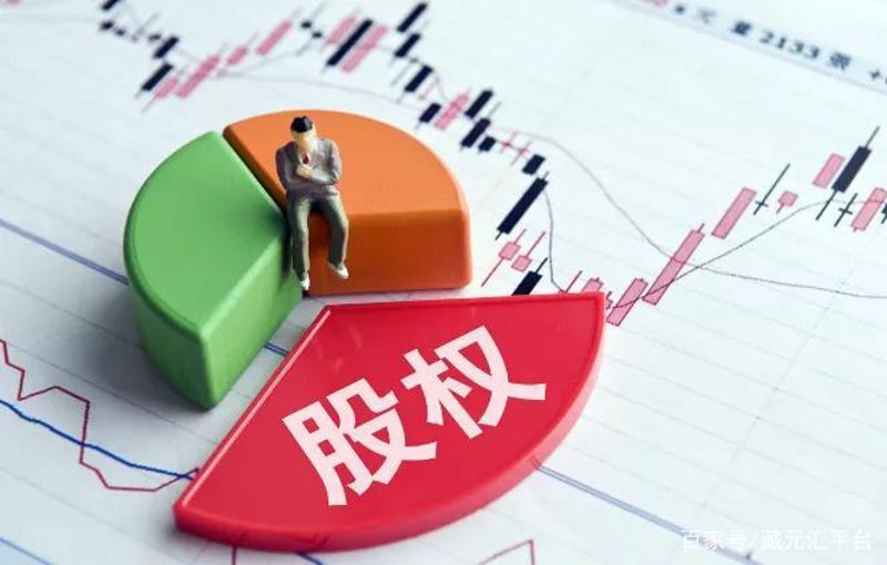 股权投资：引领资本时代的创新引擎